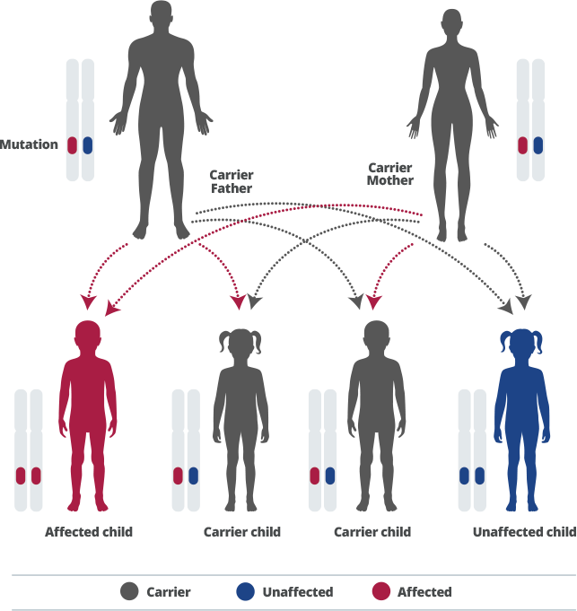 diagnostic-test diagnostic test